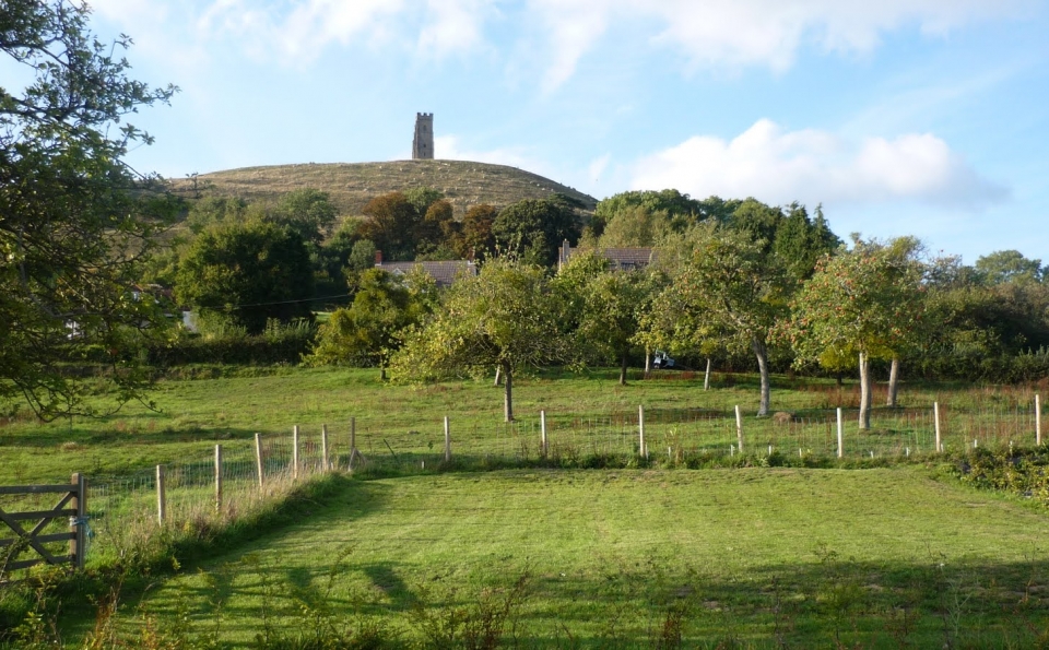 Camping Pitches Holiday Cottage Glastonbury
